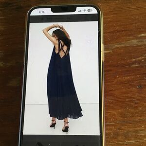 Banana Republic Georgia Open Back Pleated Dress